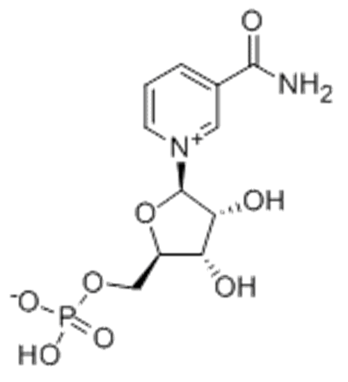 NMN β-烟酰胺单核苷酸 CAS 1094-61-7 辅酶前体  NAD前体 抗衰因子 化妆品新原料