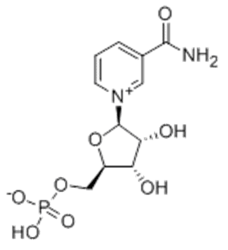 NMN β-烟酰胺单核苷酸 CAS 1094-61-7 辅酶前体  NAD前体 抗衰因子 化妆品新原料