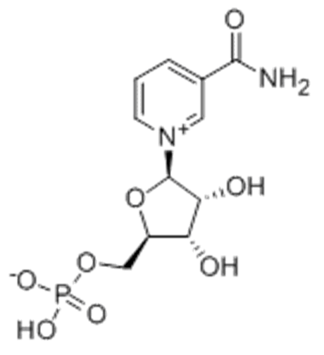 NMN β-烟酰胺单核苷酸 CAS 1094-61-7 辅酶前体  NAD前体 抗衰因子 化妆品新原料