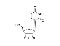 尿苷  尿嘧啶核糖核苷 CAS号 58-96-8