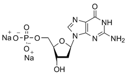 2'-脱氧鸟苷单磷酸二钠盐 CAS 33430-61-4   核苷酸原料