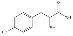 酪氨酸