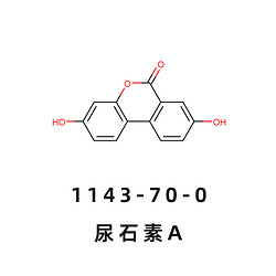 尿石素A