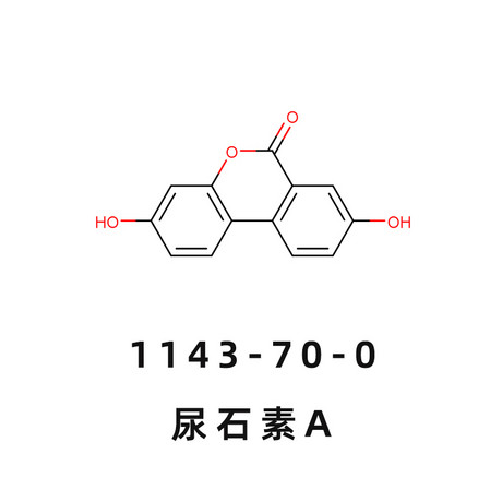 尿石素A