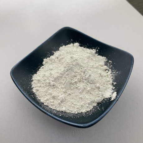 胃蛋白酶
