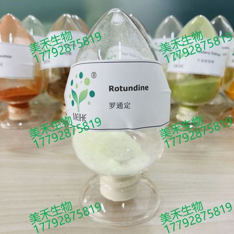 罗通定
