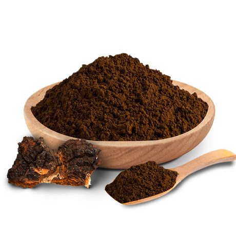 白桦茸提取物