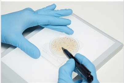 CompactDry 微生物快速测试片系列