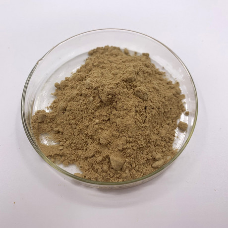 月见草提取物