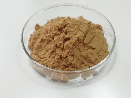 三七根提取物粉