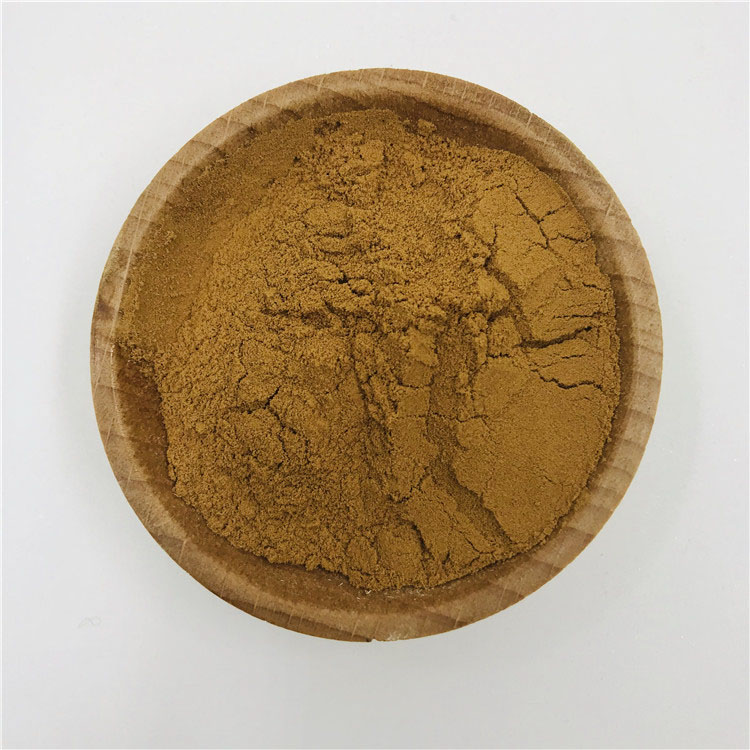 沙棘籽提取物