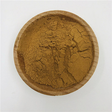 沙棘籽提取物