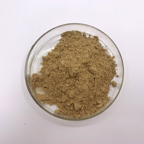 桑葚提取物