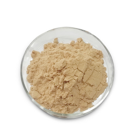 白芷提取物