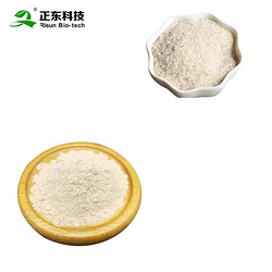 圆苞车前子壳/壳粉 99%纯度&80%膳食纤维 99% 洋车前子壳粉 代餐粉 洋车前子壳纤维粉 现货