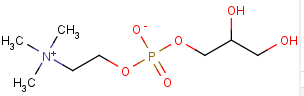 甘油磷酰胆碱;甘磷酸胆碱；GPC