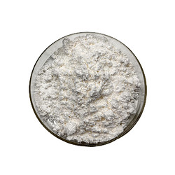 長(cháng)雙歧桿菌