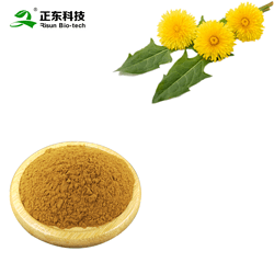 蒲公英提取物 蒲公英黄酮2%-5%