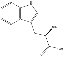 D-色氨酸