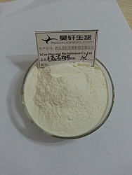 毛蕊花糖苷
