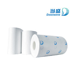 當盛?Dawnsens? 閃蒸法非織造材料