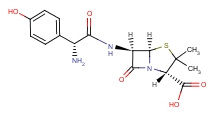 Amoxicillin sodium and clavulanate Potassium