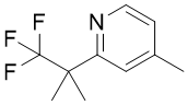 4-甲基-2-(1,1,1-三氟-2-甲基丙烷-2-基)吡啶