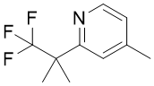 4-甲基-2-(1,1,1-三氟-2-甲基丙烷-2-基)吡啶