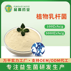 植物乳桿菌 100億cfu/g乳酸菌粉