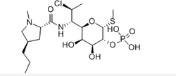 克林霉素磷酸酯