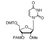 2’-OMe -rU Amidite