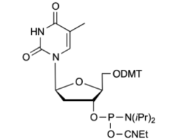 Beta-L-dT Amidite