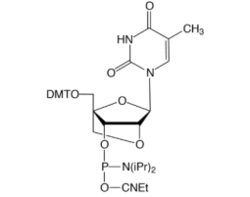 2'-O-4'-C-Locked-rT Phosphoramidite