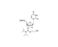 2'-O-4'-C-Locked-rU Phosphoramidite