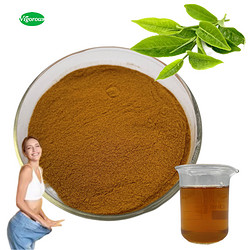 Instant green tea powder