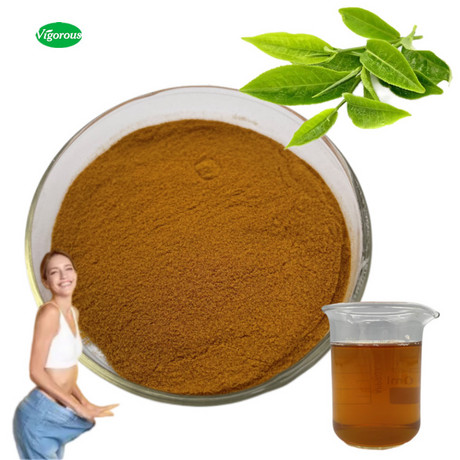 速溶绿茶提取物
