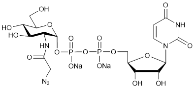 UDP-GlcNAz.2Na