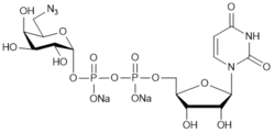 UDP-6-azido-6-deoxy-D-Gal.2Na