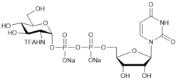 UDP-GlcNTFA.2Na