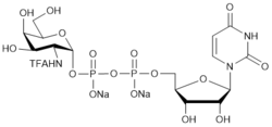 UDP-GalNTFA.2Na