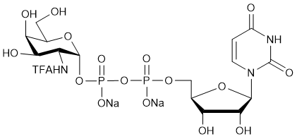 UDP-GalNTFA.2Na