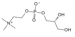 甘油磷酸胆碱