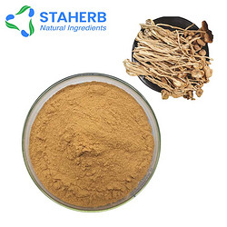 茶树菇提取物
