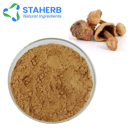 姬松茸提取物