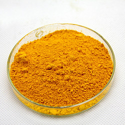 Coenzyrne Q10 (Ubidecarenone)
