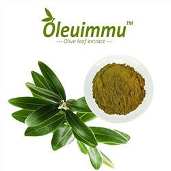 Olive Leaf Extract Oleuimmu®