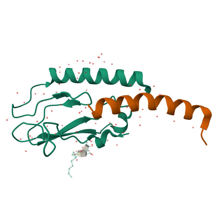 tBuO-C18-Glu(AEEA-AEEA-OSu)-OtBu