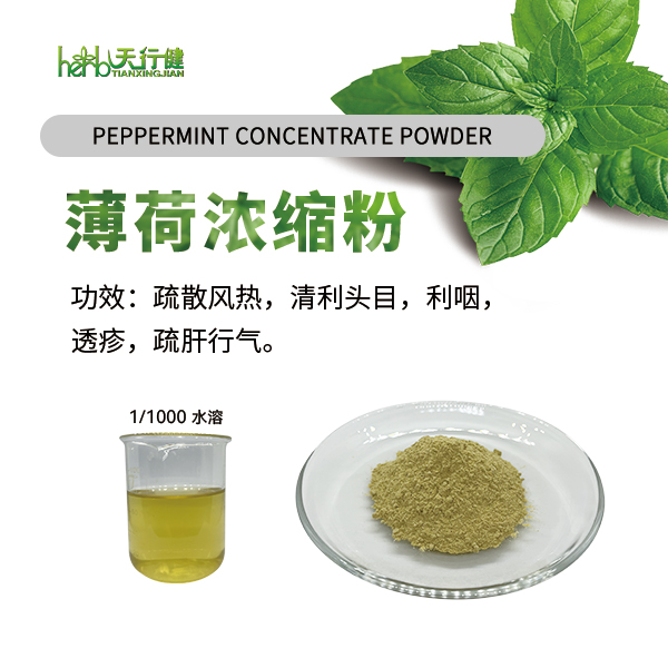 薄荷浓缩粉