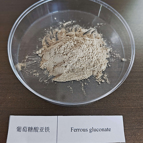 葡萄糖酸亚铁