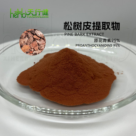松树皮提取物 原花青素95%